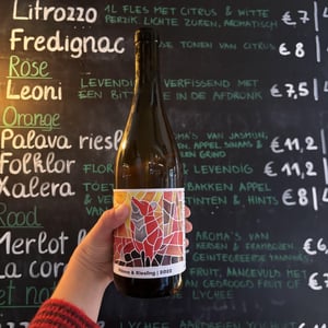 Palava Riesling - Zdenek Omastra - Zdenëk Omastra 
