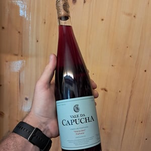 Palhete - Vale da Capucha - pedro-marques