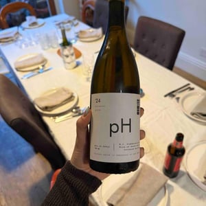 PALOMINO - VINO PH - pauline-roux-paul-jordaan