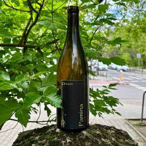Pamína - Domaine de l'Octavin - alice-bouvot