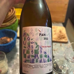 Pan - Alexandre Plassat - Alexandre Plassat -2022