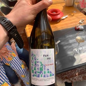 Pan - Alexandre Plassat - alexandre-plassat -2022