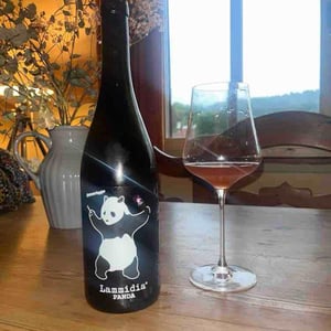 Panda - Lammidia - Marco Giuliani & Davide Gentile 