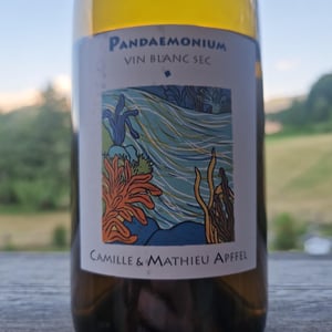 Pandæmonium Blanc - Mathieu Apffel - camille-mathieu-apffel -2022