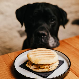 Panino Di Lievito Madre Con Pollo Arrosto - Tut vin - La vineria del balôn - 855458