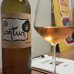 Pantun Bianco - Cantina Pantun - Domenico Caragnano & Jutta Benneker -2022