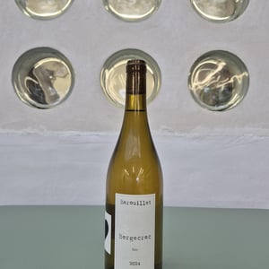 Bergecrac Sec - Château Barouillet - vincent-alexis