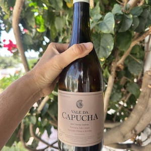 Parcela São José - Vale da Capucha - Pedro Marques 