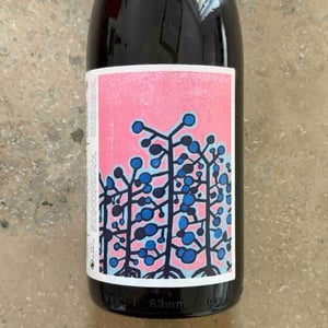 Paresia - Le vignoble du Pagure - hugo-courvoisier -2024
