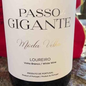 Passo gigante - Minho, Vinho Verde - rui-oliveira-e-joao-pires-no-minho -2023