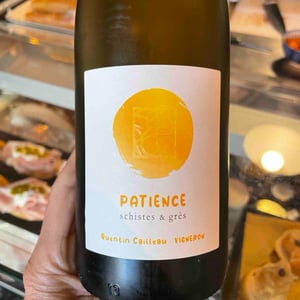 Patience schistes & grès - Domaine Sauveroy - quentin-cailleau -2024