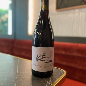 Patrimonio - Domaine Giudicelli - muriel-giudicelli