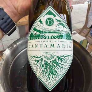 Patrimonio - Domaine Santamaria - jean-louis-thomas-santamaria