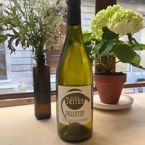 Paulatim - Les Deux Terres - Vincent Fargier & Emmanuel Cunin 