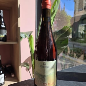 Pech De Rozies - Domaine Balansa - Céline Peyre & Alex Gressent 
