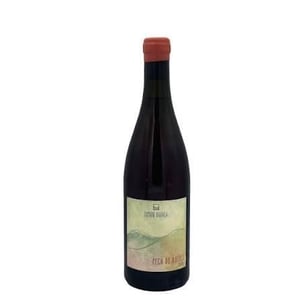 Pech De Rozies - Domaine Balansa - Céline Peyre & Alex Gressent