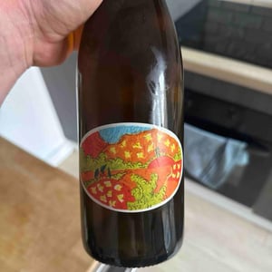 Pechigo Blanc - Domaine Sylvain Saux - domaine-sylvain-saux