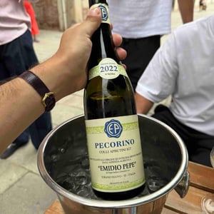 Pecorino - Az. Agr. Emidio Pepe - daniela-sofia-pepe -2021