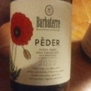 Peder - Barbaterre - barbaterre -2020