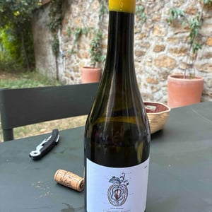 Pell De Mas Perdut - Finca Mas Perdut - josep-i-rebeca
