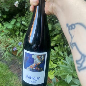 Pèlroge - Domaine de l'Astré - aude-duval-et-sylvain-ohayon