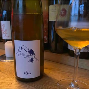 Pépin muscat - Pépin Vin - jean-dietrich-pierre-dietrich-sarah-hilzendeger-pierre-sanchez-et-xavier-cou-ec -2023
