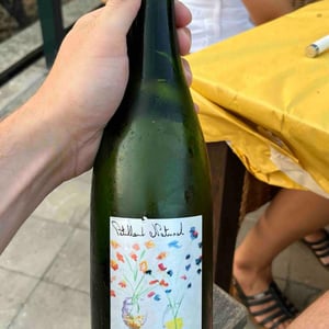 Pet Nat - Domaine Chardigny - victor-emmanuel-pierre-maxime-chardigny -2021