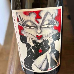 Pet’ Nat‘ - Domaine Albert de Conti - domaine-albert-de-conti -2023