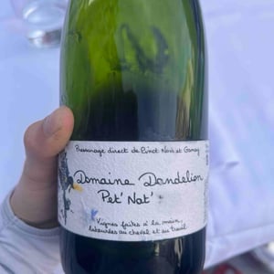 Pet nat - Domaine Dandelion - Morgane Seuillot & Christian Knott -2022