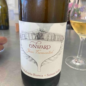 Petillant Naturel - Onward Wines - Faith Armstrong Foster 