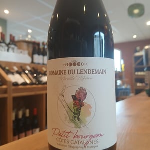 Petit Bourgeon - Domaine du Lendemain - mireille-ribiere