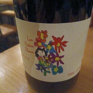 Petites fleurs - Marie et Vincent Tricot - vincent-et-marie-tricot