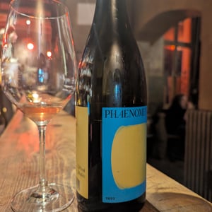 Phaenomen Rose Trocken - Weingut Stefan Meyer - stefan-meyer -2022