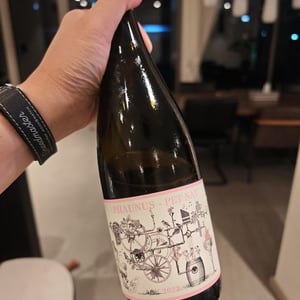 Phaunus-Loureiro - Aphros Wines Cellar - Vasco Croft, Tiago Sampaio & Miguel Viseu 