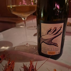 Phenomaynal - Allante & Boulanger - Mathieu Allante & Christian Boulanger