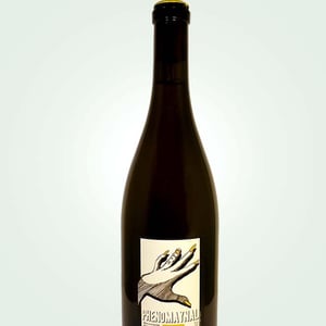 Phenomaynal - Allante & Boulanger - Mathieu Allante & Christian Boulanger 