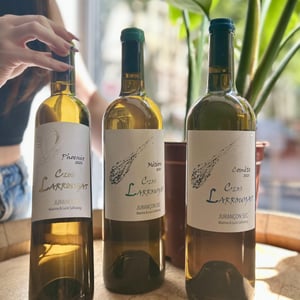 Phoenix - Clos Larrouyat - Maxime & Lucie Salharang 