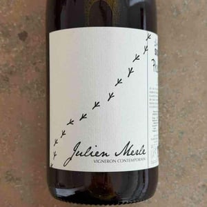 Phoenix - Julien Merle - Julien Merle -2025