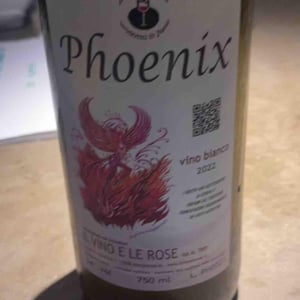 Phoenix - Il Vino e le Rose - Massimiliano Murgo 