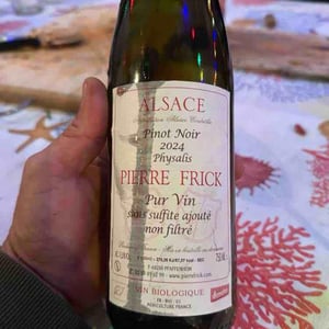 Physalis Pinot Noir - Domaine Pierre Frick - jean-pierre-chantal-et-thomas-frick