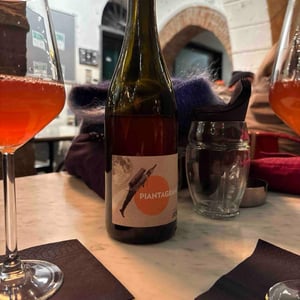 Piantagrane - Villa Job - alessandro-job