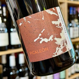 PICALEON - Mas Foulaquier - Pierre Jequier & Blandine Chauchat -2024