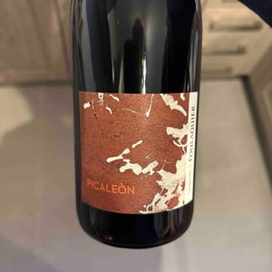 Picaleon - Mas Foulaquier - pierre-jequier-blandine-chauchat -2024