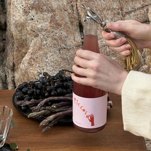 Piccolo Piquette Rose - Matic Wines - Matija Žerjav -2025