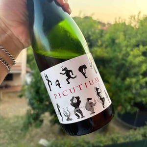 PICUTIUM - Domaine Jeremy Bricka - Vins Naturels D'Alp'titude - jeremy-bricka -2024