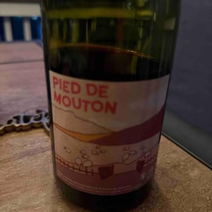 Pied de mouton - Domaine des Sonnettes - Sonshine Vins - Edouard Gouyette & Lisanne van Son 