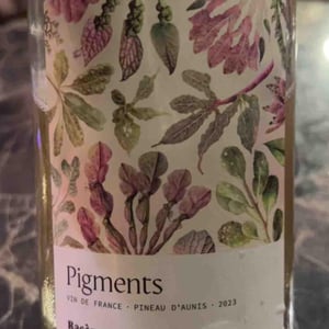 Pigments - Racèmes - Arthur Hutin et Roman Opelik -2023