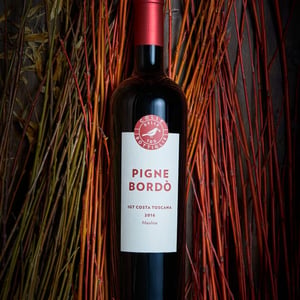 Pigne Bordò - Colle delle 100 Bottiglie - Roberto Nannini -2021