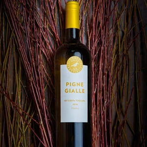 Pigne gialle - Colle delle 100 Bottiglie - roberto-nannini -2025
