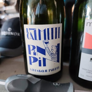 PIN PIN - Domaine la Calmette - maya-sallee-nicolas-fernandez -2018